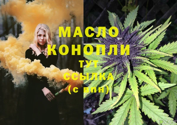 дживик Пересвет