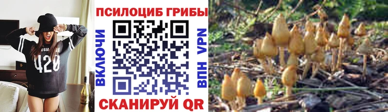 Псилоцибиновые грибы мухоморы Кодинск