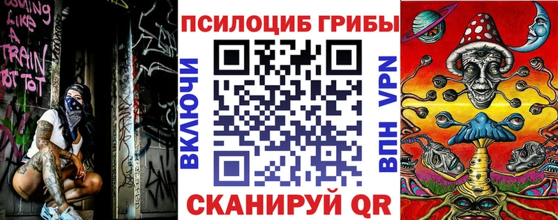 Галлюциногенные грибы GOLDEN TEACHER наркотики Кодинск